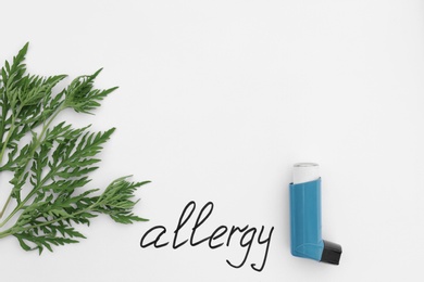 Ragweed plant (Ambrosia genus), asthma inhaler and word "ALLERGY" written on white background, top view