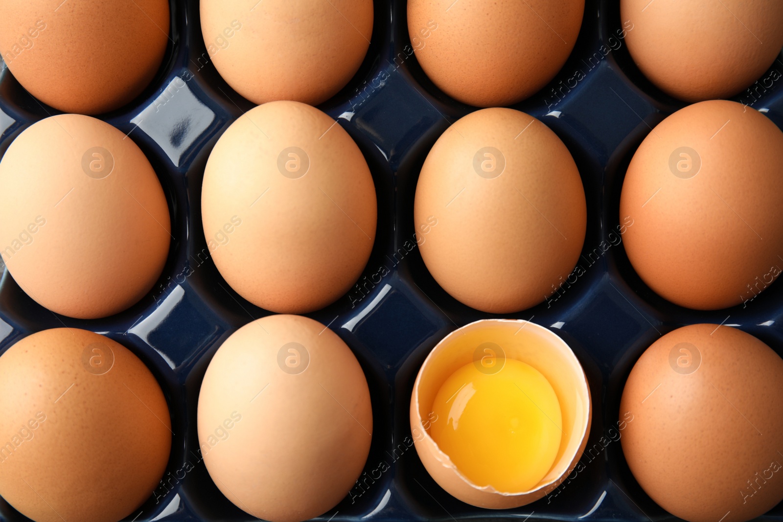 Photo of Raw chicken eggs in ceramic holder, top view