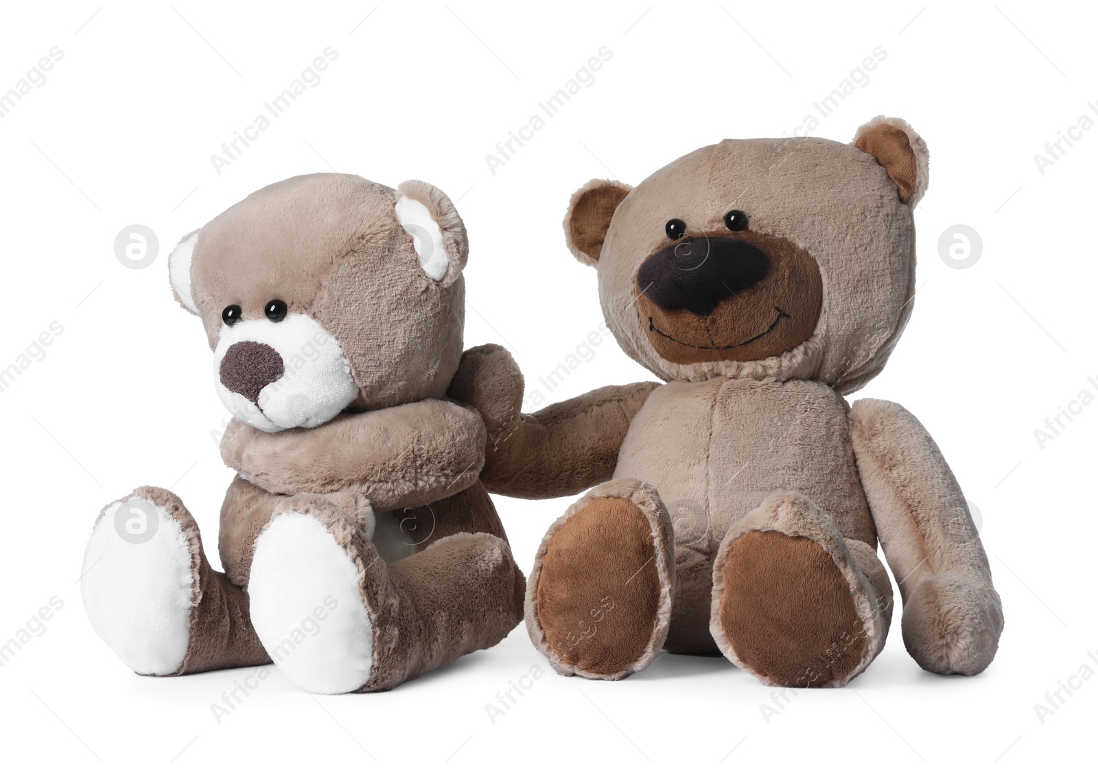 Photo of Cute teddy bears isolated on white. Child`s toy