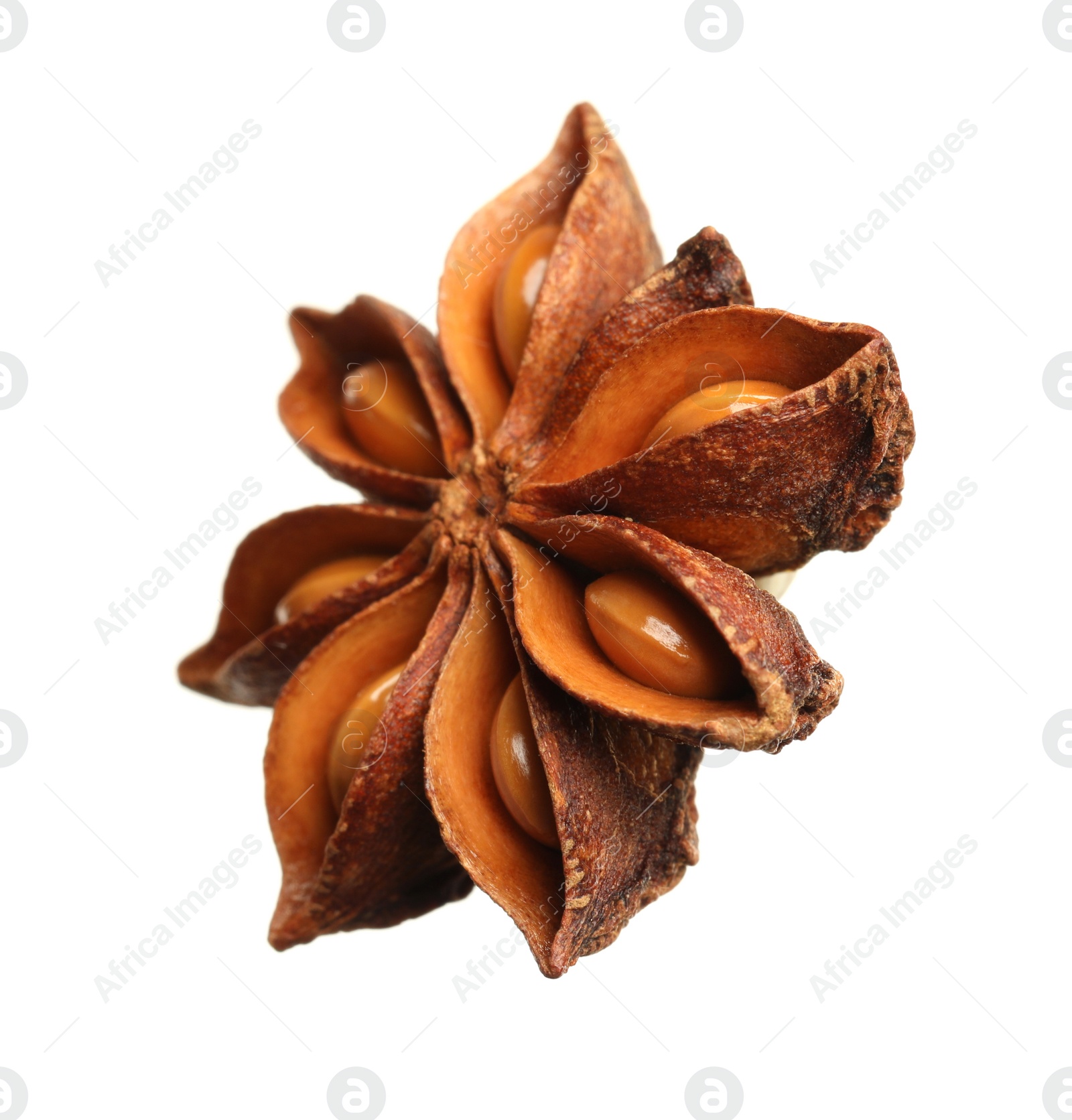 Photo of Dry anise star with seeds isolated on white