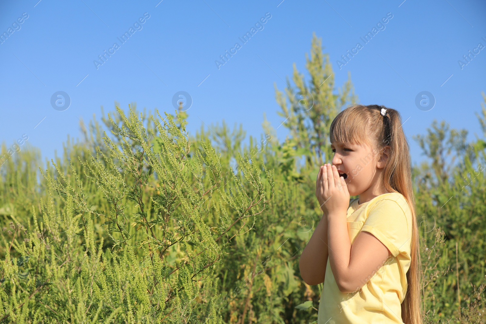 Photo of Little girl suffering from ragweed allergy outdoors