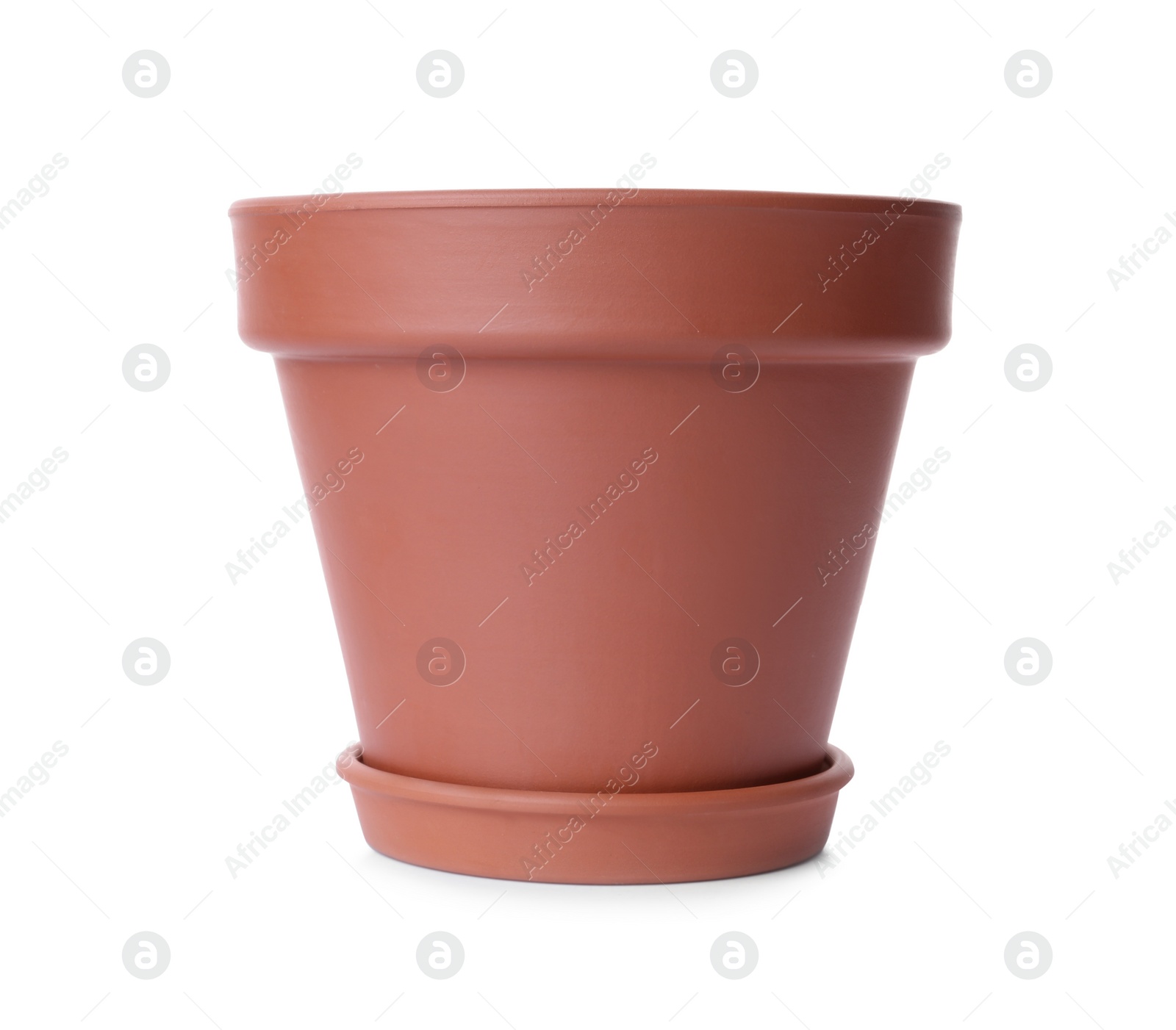 Photo of Stylish terracotta flower pot with saucer isolated on white