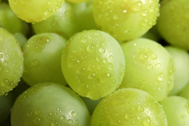 Photo of Bunch of green fresh ripe juicy grapes as background, closeup