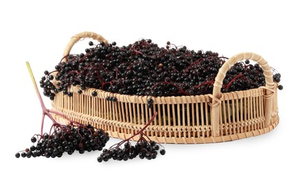 Wicker basket and ripe elderberries on white background