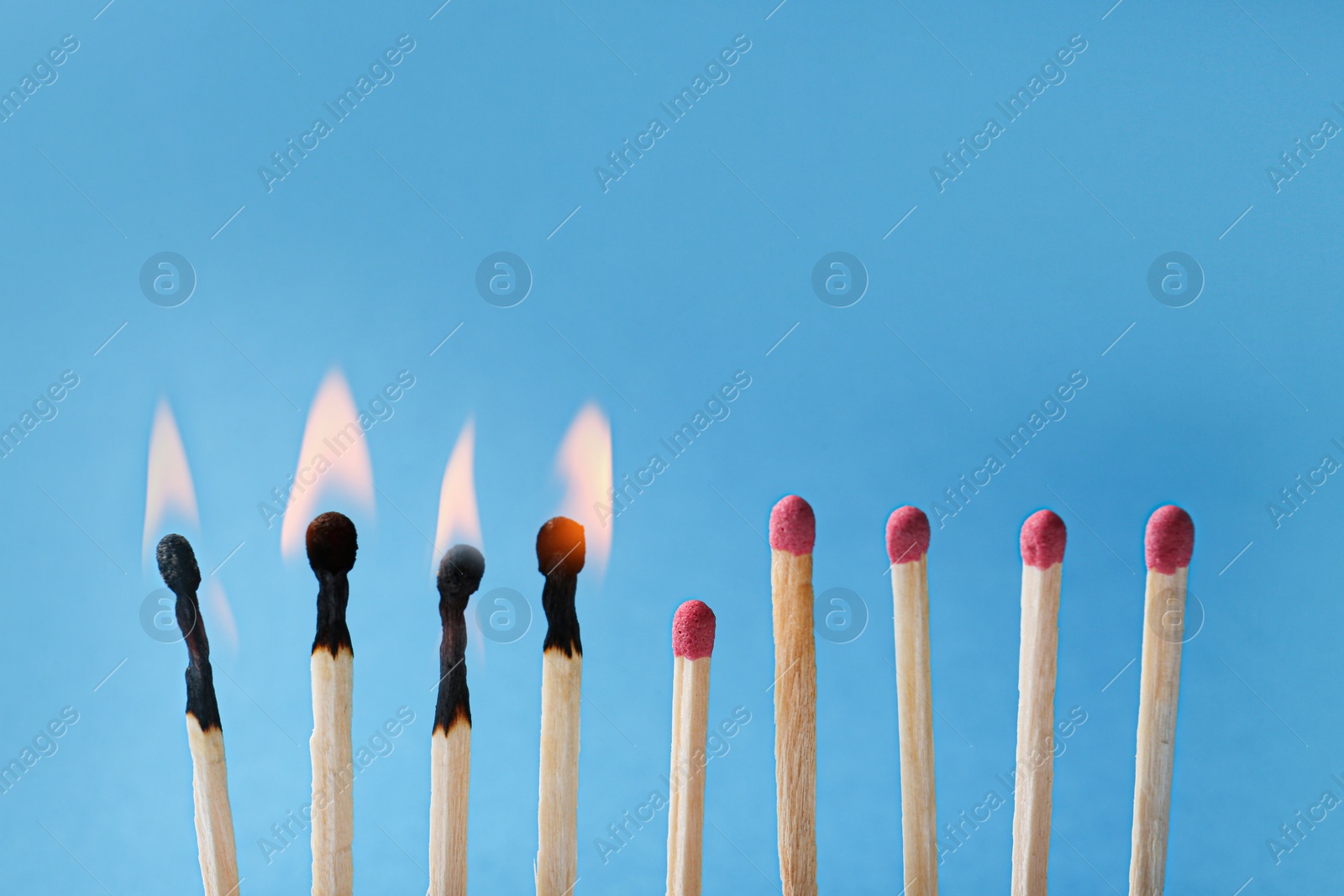 Photo of Burning and whole matches on light blue background, closeup. Stop destruction by breaking chain reaction concept