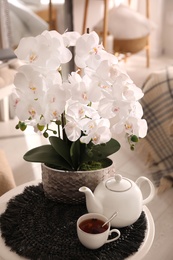 Beautiful white orchids and tea set on table in room