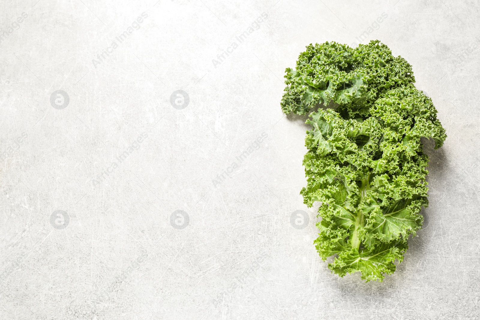 Photo of Fresh kale leaf on light grey table, top view. Space for text