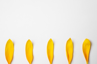 Photo of Fresh yellow sunflower petals isolated on white, top view