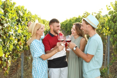 Photo of Friends drinking wine and having fun at vineyard