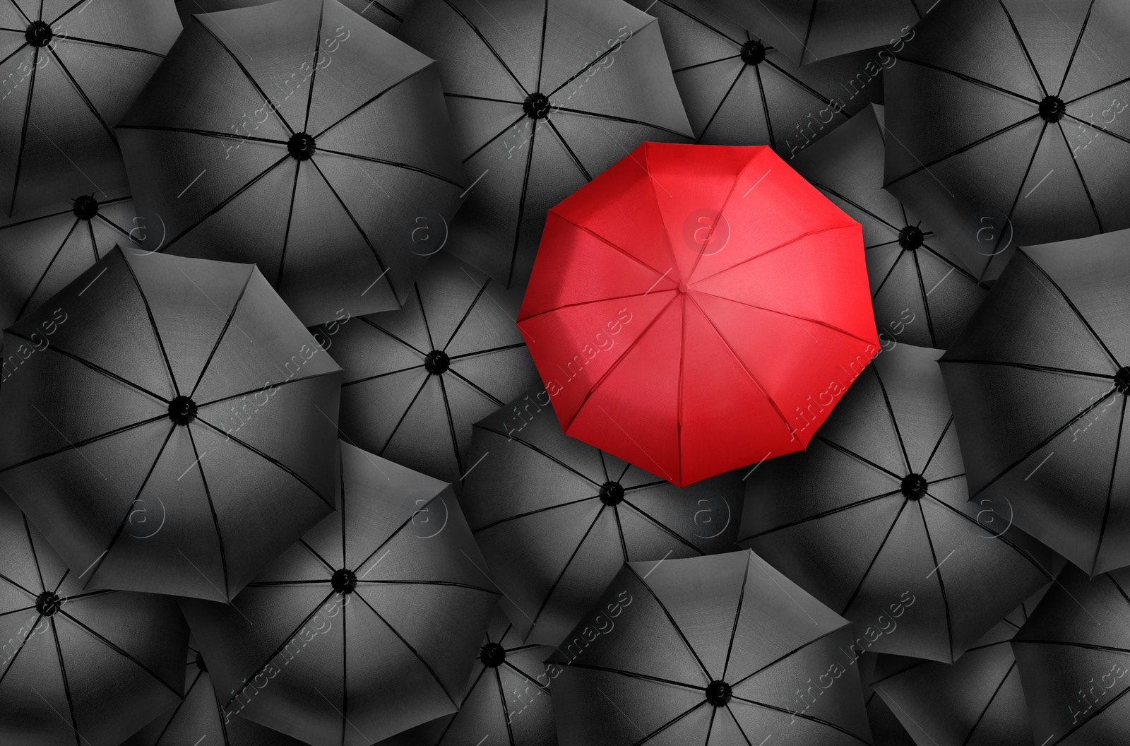 Image of Red umbrella standing out of other ones, top view