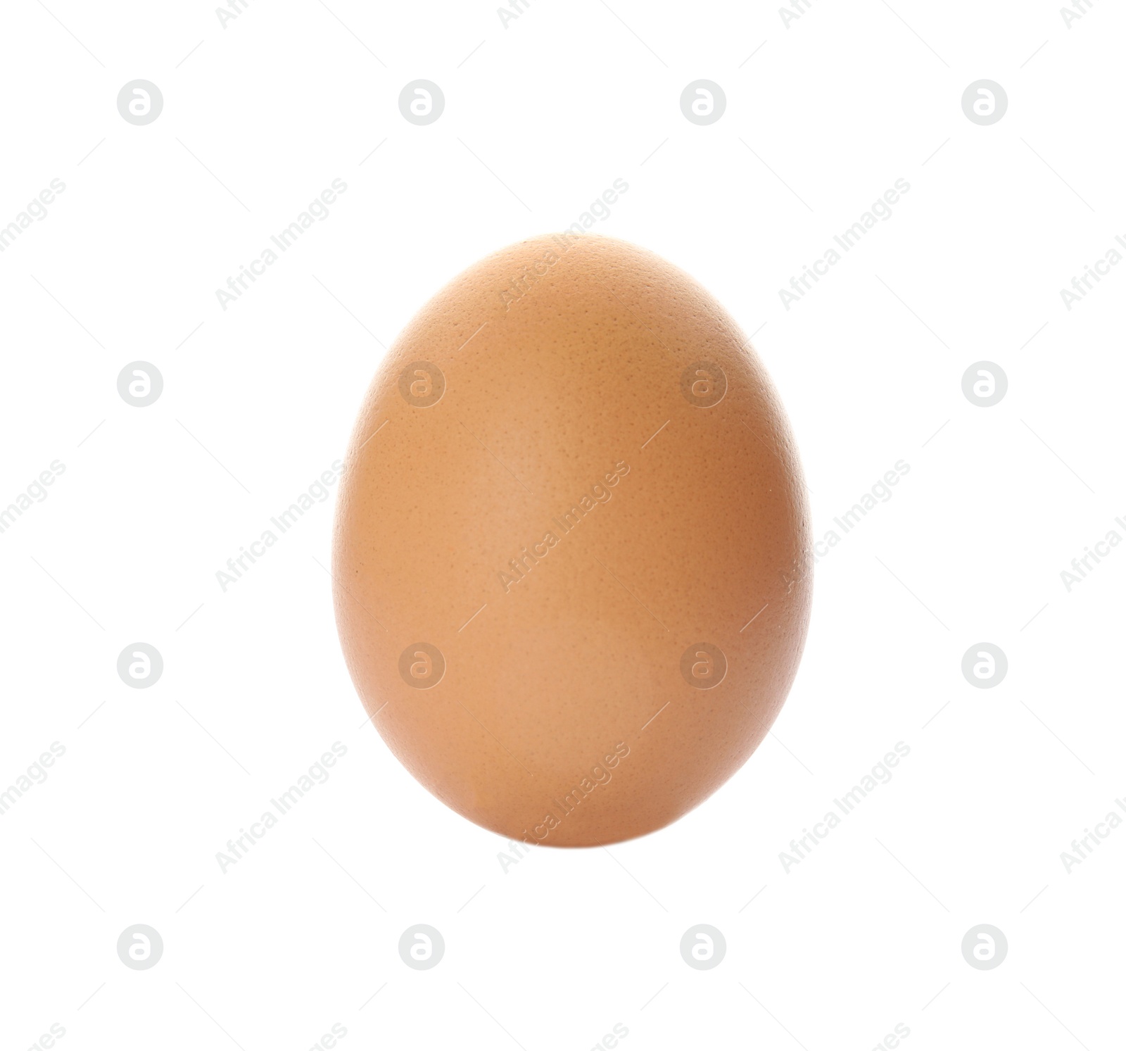 Photo of Raw brown chicken egg on white background