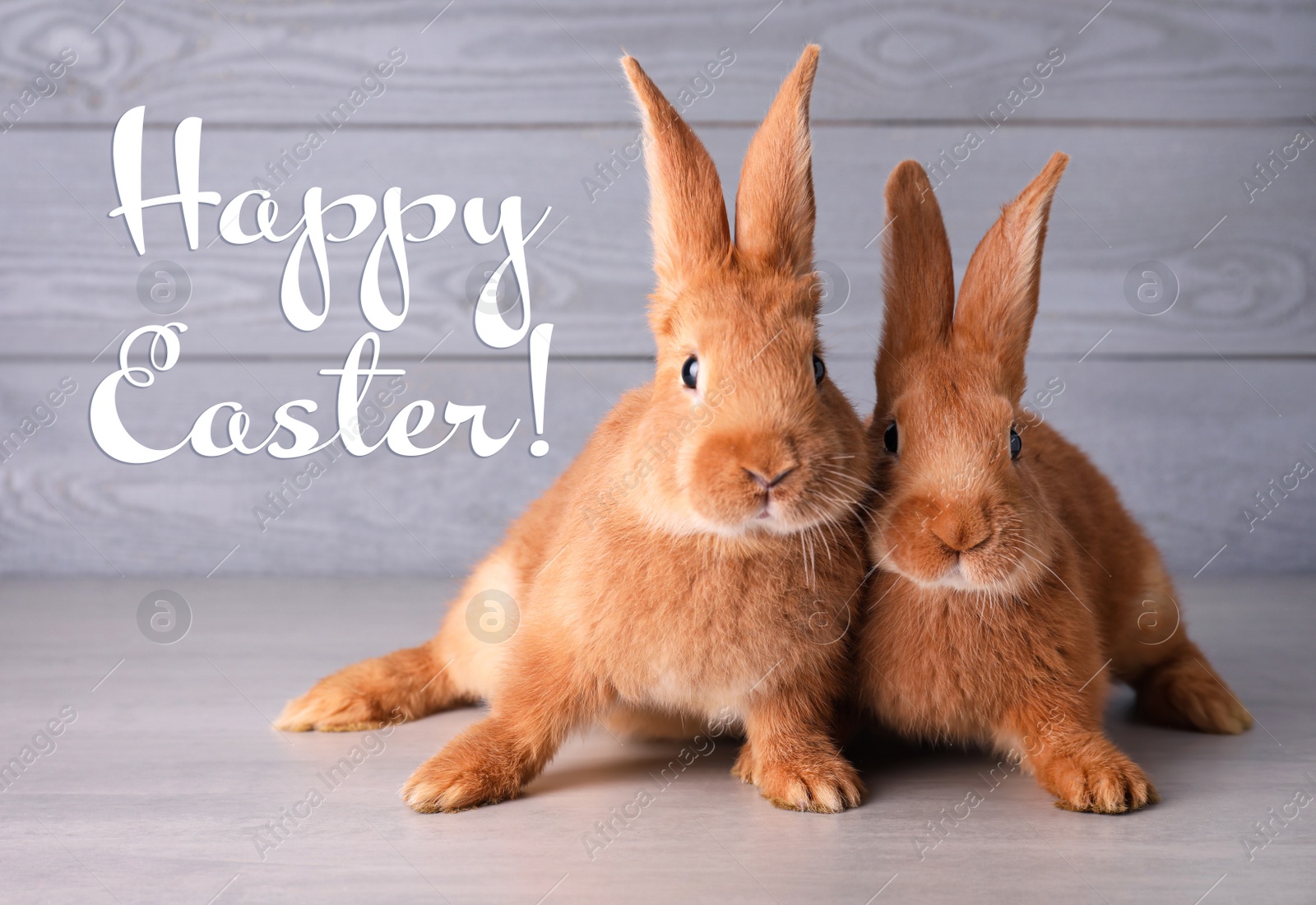 Image of Happy Easter! Cute bunnies on grey table against wooden background