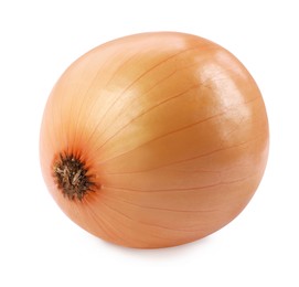 One yellow fresh onion isolated on white