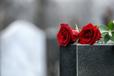 Photo of Red roses on black granite tombstone outdoors, space for text. Funeral ceremony