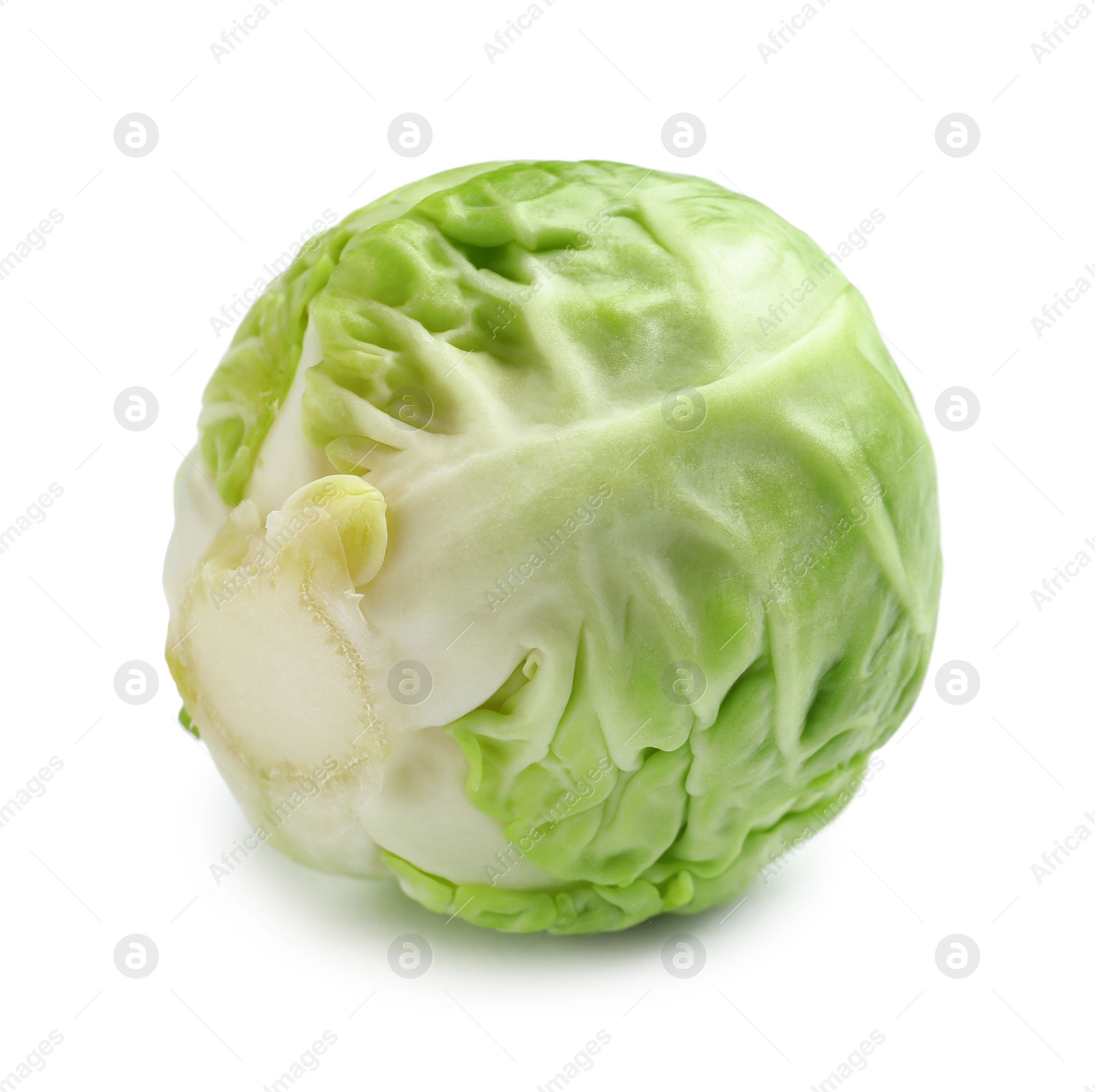 Photo of Fresh tasty Brussels sprout on white background