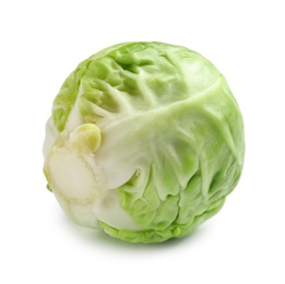 Fresh tasty Brussels sprout on white background