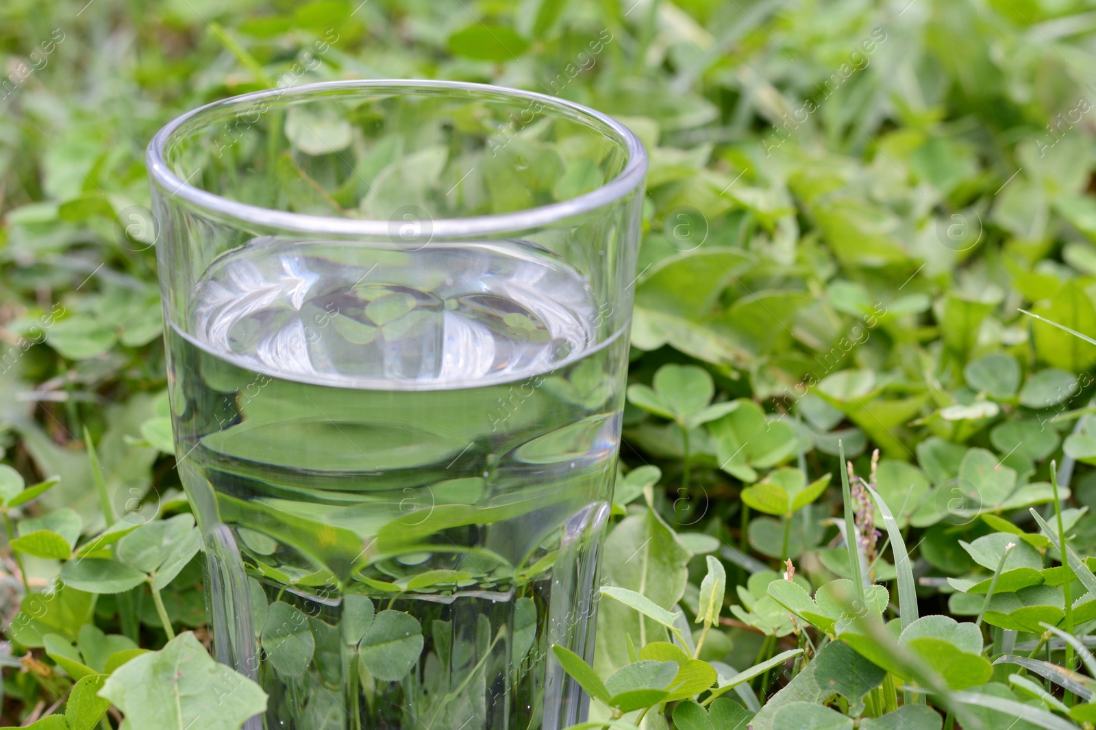 Photo of Glass with pure water in green grass outdoors, closeup. Space for text