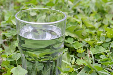 Glass with pure water in green grass outdoors, closeup. Space for text