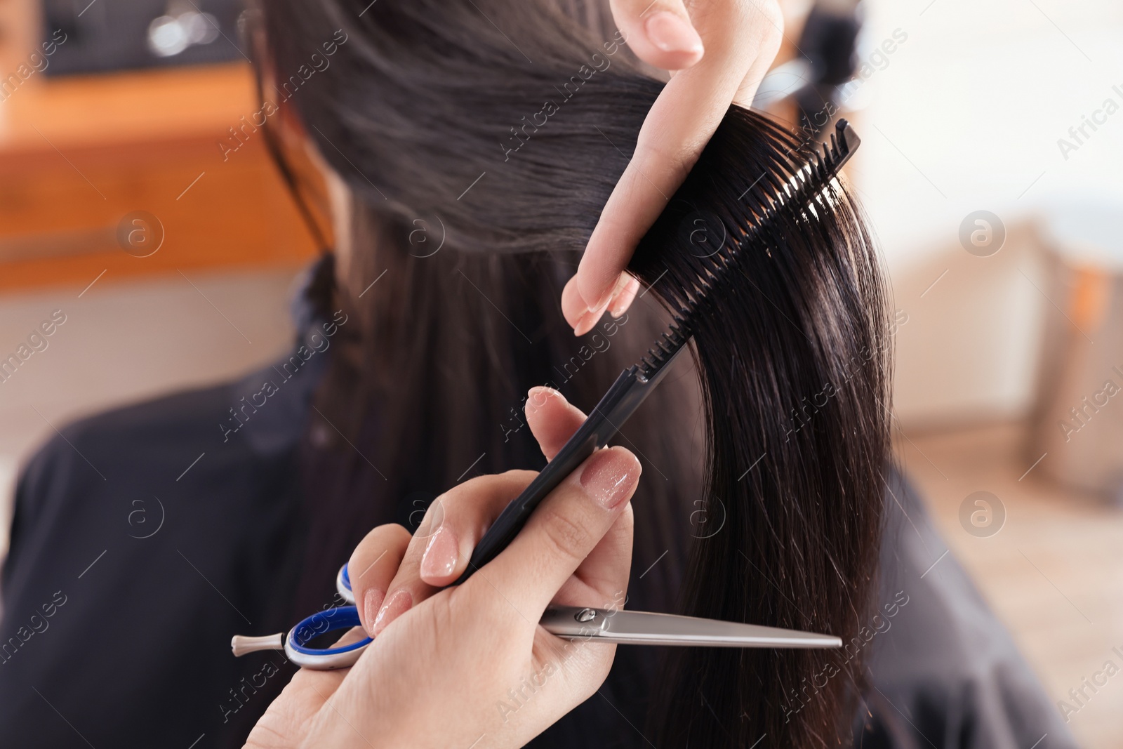 Photo of Professional hairdresser brushing woman's hair in beauty salon, closeup