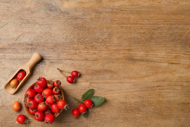 Ripe rose hip berries with green leaves and scoop on wooden table, flat lay. Space for text
