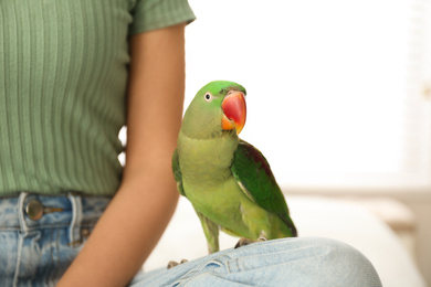 Young woman with Alexandrine parakeet indoors, closeup. Cute pet