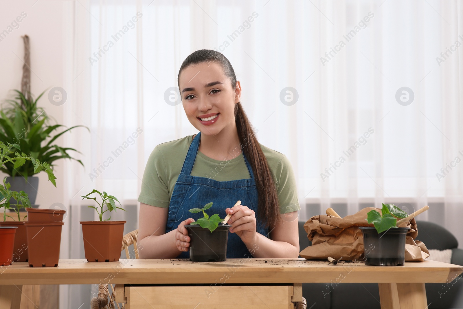 Photo of Happy woman planting seedling into pot at wooden table in room