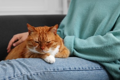 Photo of Woman petting cute cat at home, closeup