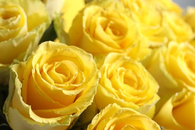Photo of Beautiful bouquet of yellow roses, closeup view