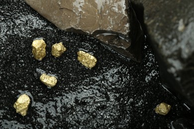 Photo of Shiny gold nuggets on wet stones, top view