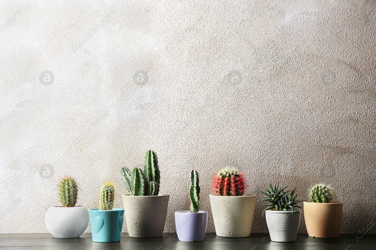 Photo of Different potted cacti on table near color background, space for text. Interior decor