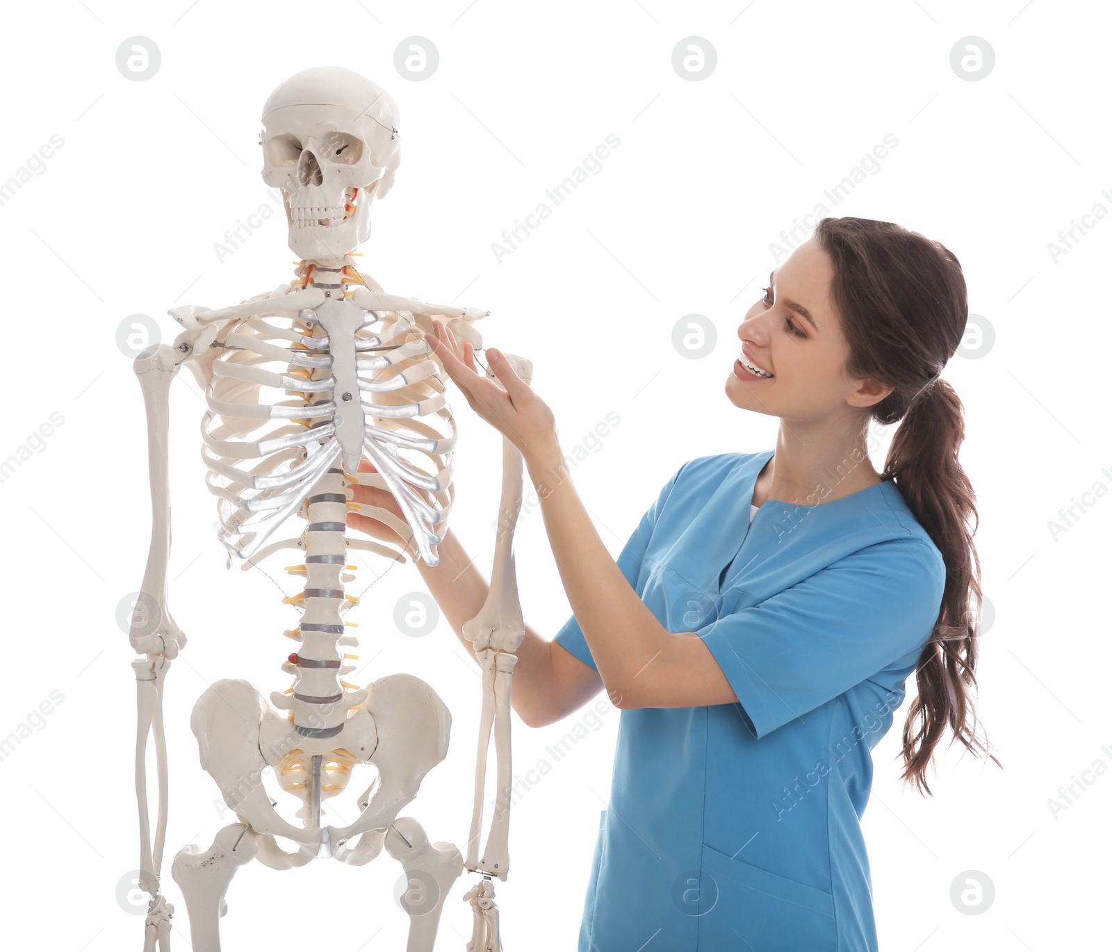 Photo of Female orthopedist with human skeleton model on white background