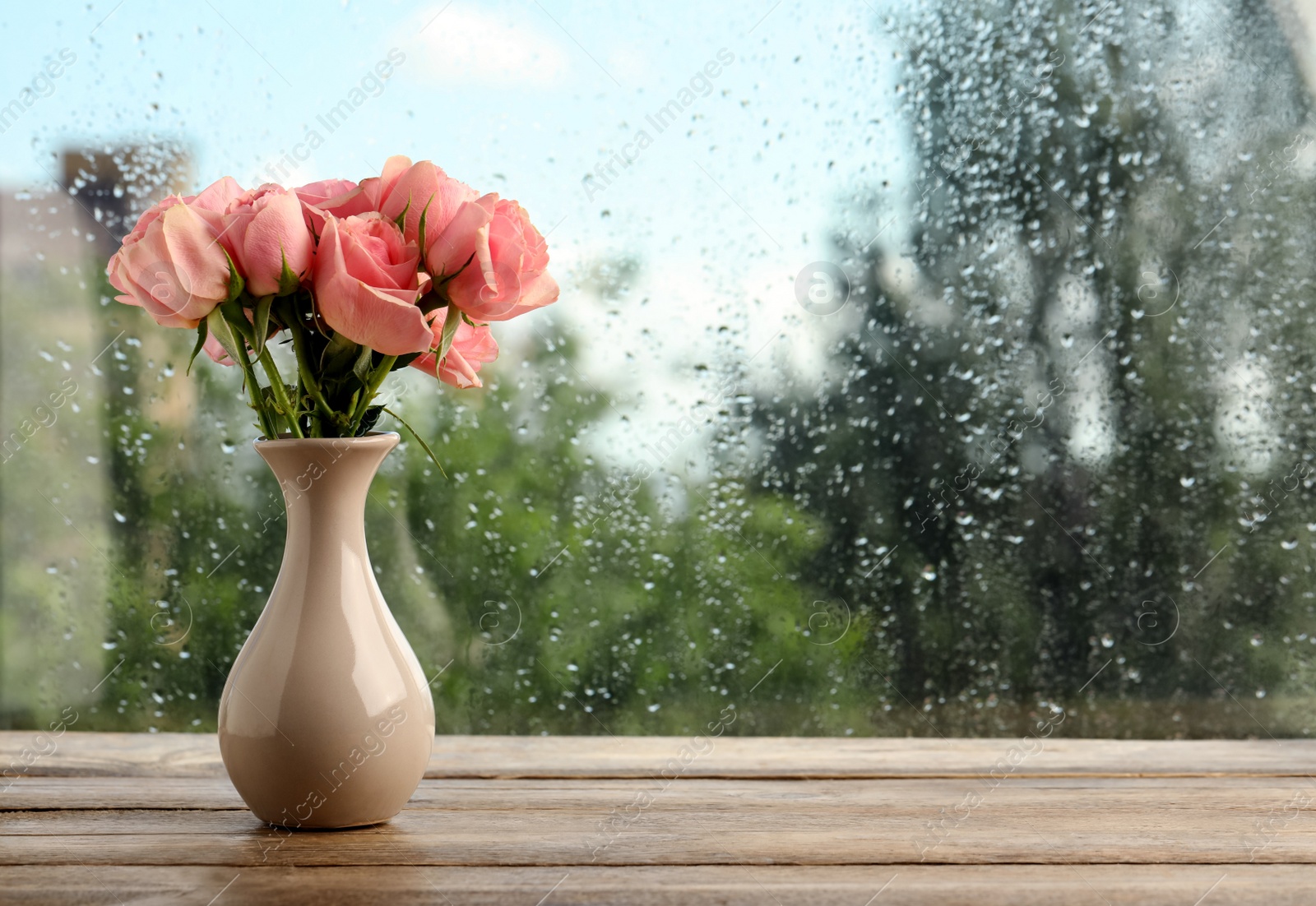 Photo of Vase with roses near window on rainy day. Space for text