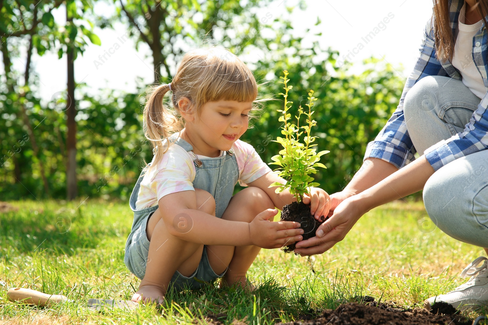 Photo of Mother and her daughter planting tree together in garden