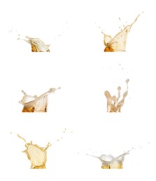 Set with beer splashes on white background