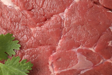 Photo of Piece of raw beef meat with parsley as background, top view