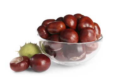 Photo of Horse chestnuts in bowl on white background