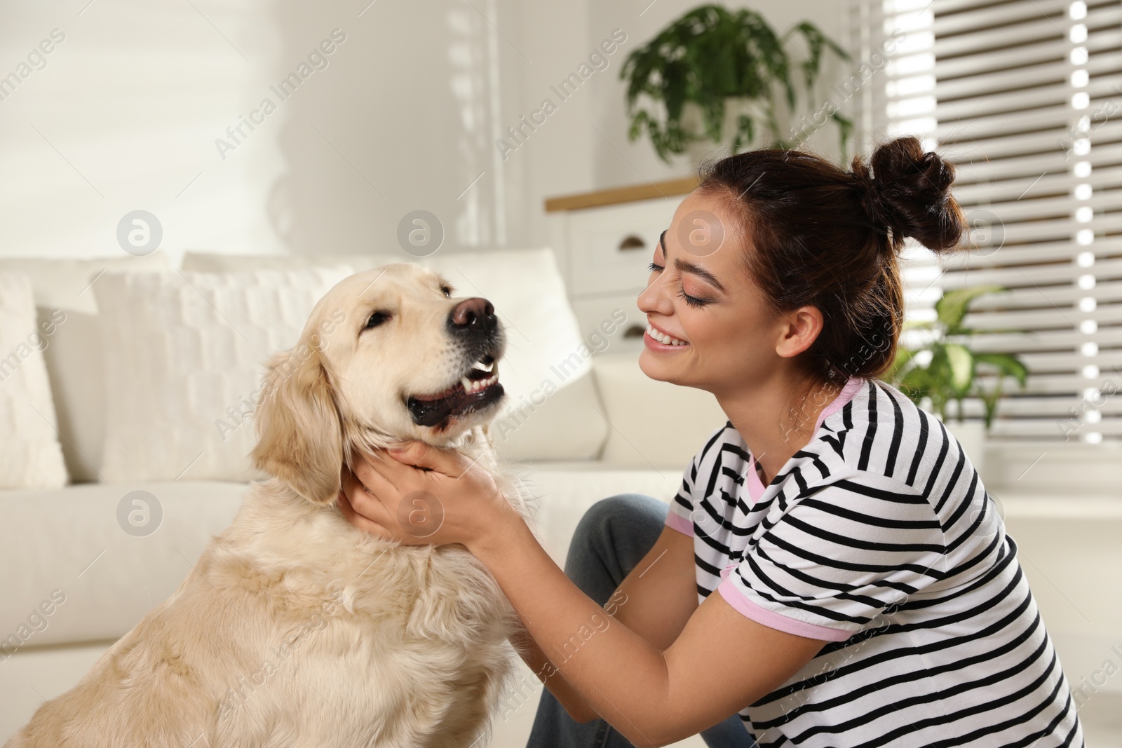 Photo of Young woman and her Golden Retriever at home. Adorable pet