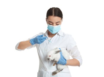 Photo of Scientist with syringe and rabbit on white background. Animal testing concept
