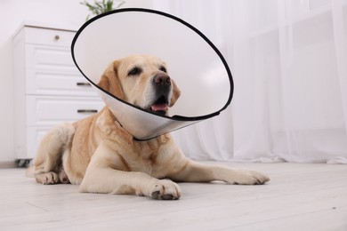 Photo of Cute Labrador Retriever with protective cone collar lying on floor in room