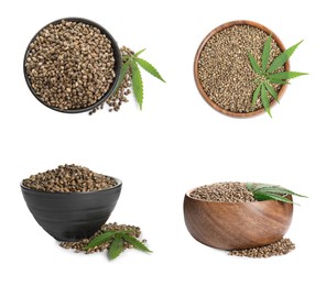 Image of Set with hemp seeds on white background