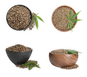 Set with hemp seeds on white background