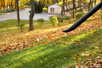 Removing autumn leaves with blower from lawn in park