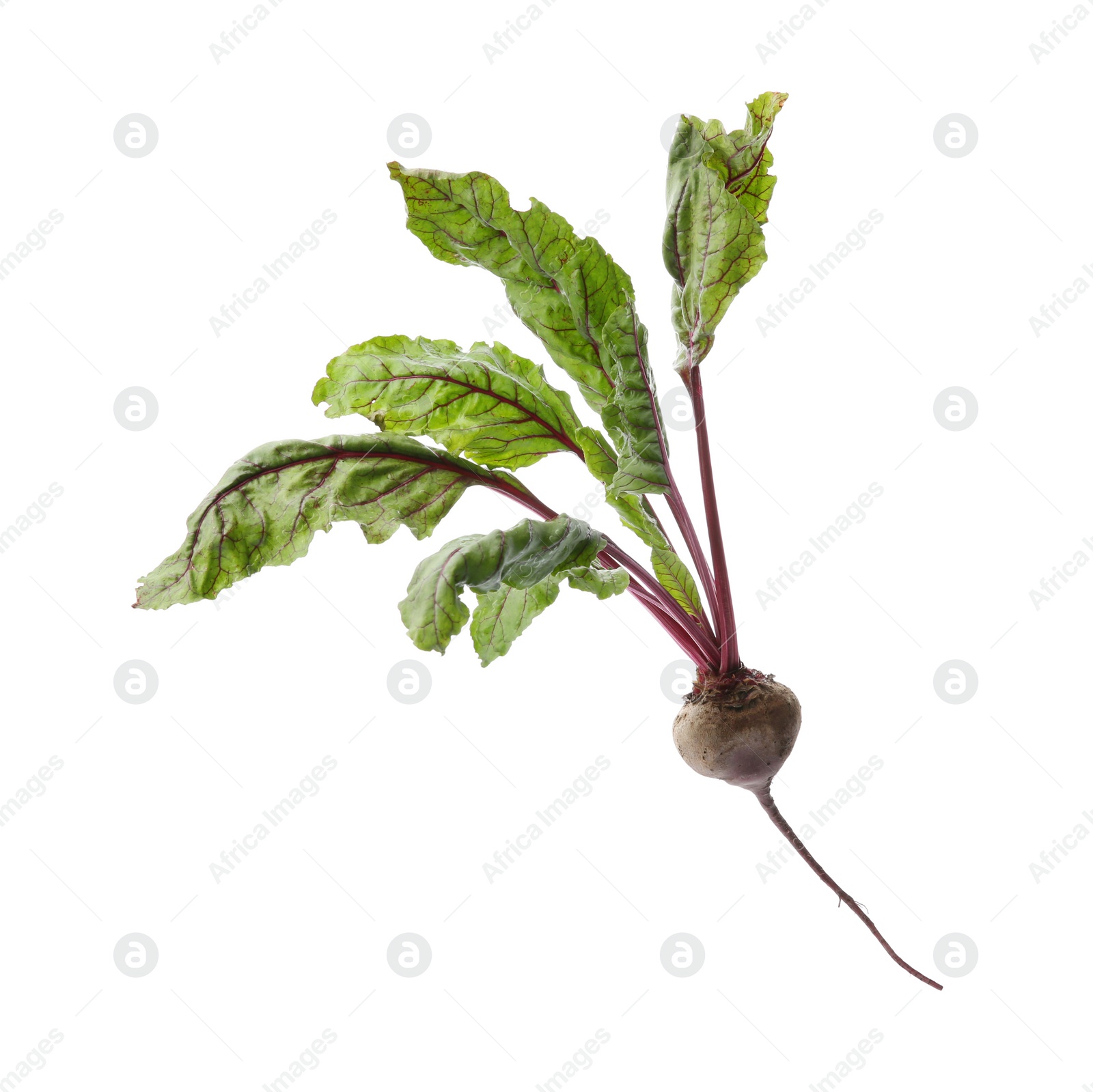 Photo of Fresh beet with leaves on white background