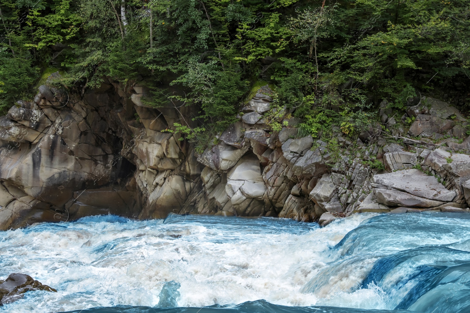 Photo of Wild mountain river flowing along rocky banks in forest