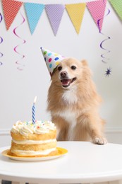 Photo of Cute dog wearing party hat at table with delicious birthday cake in decorated room