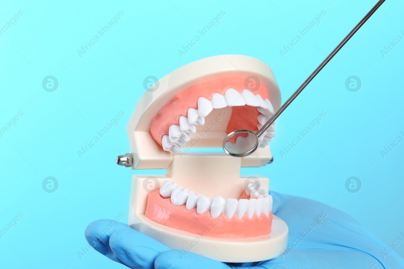 Photo of Dentist showing how to exam teeth with educational model of oral cavity and mouth mirror on color background