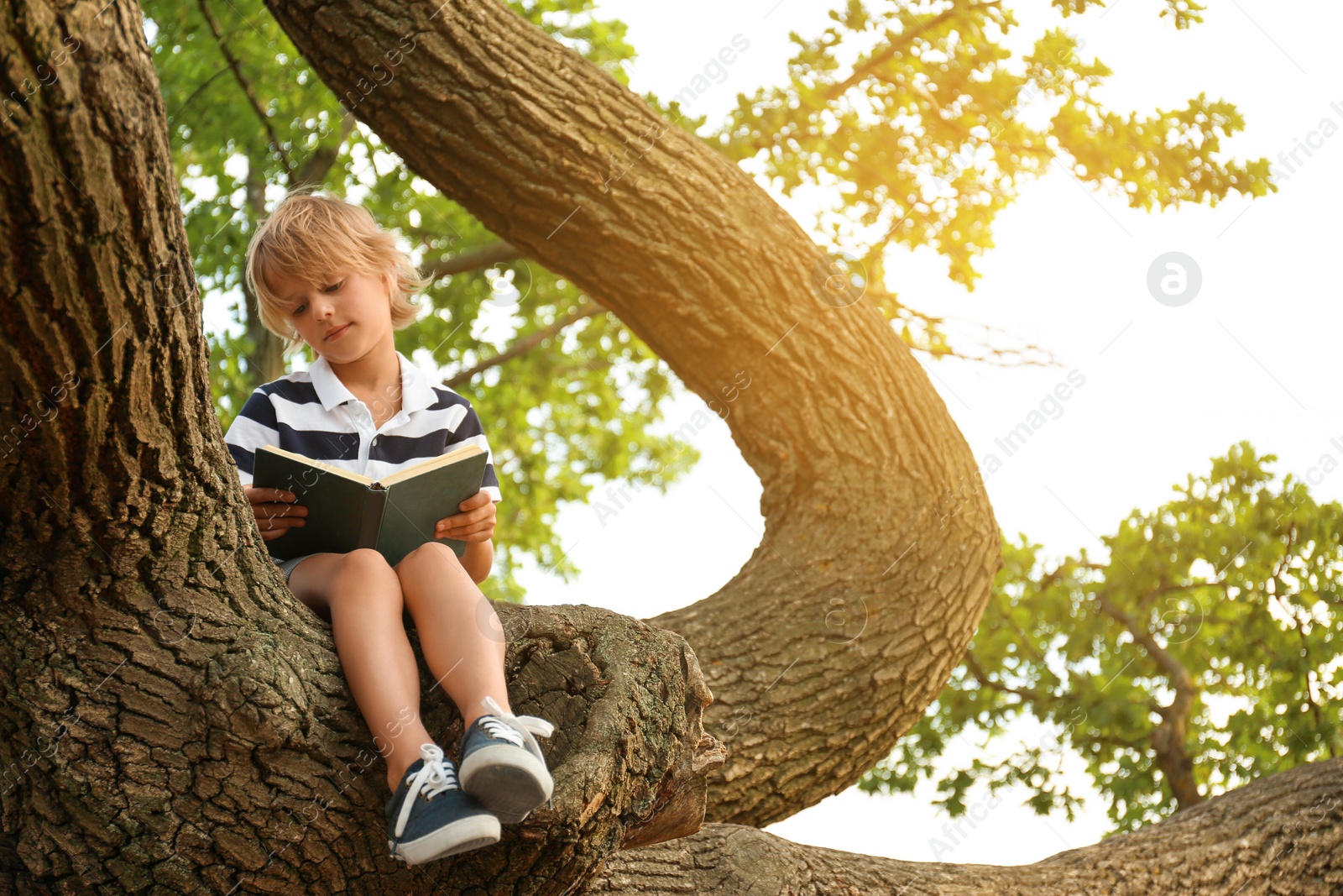 Photo of Cute little boy reading book on tree in park