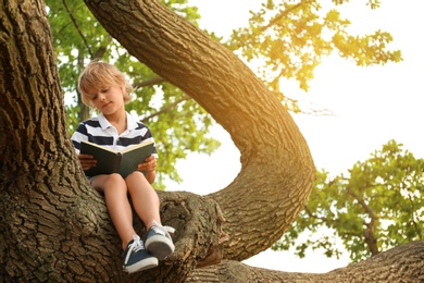 Photo of Cute little boy reading book on tree in park