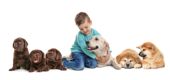 Image of Cute little child with his pets on white background. Banner design