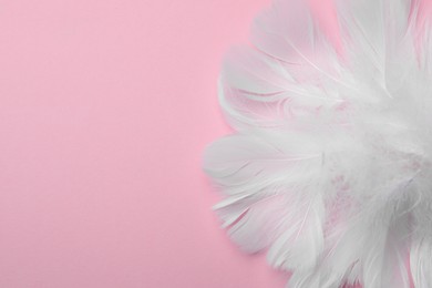 Pile of beautiful fluffy feathers on pink background, top view. Space for text